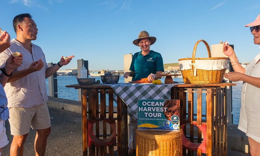 Image 10: Behind-The-Scenes Ocean Harvest Tour