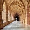 Image 5: Explora el Monasterio de Piedra y el Reino de Aragon desde Madrid