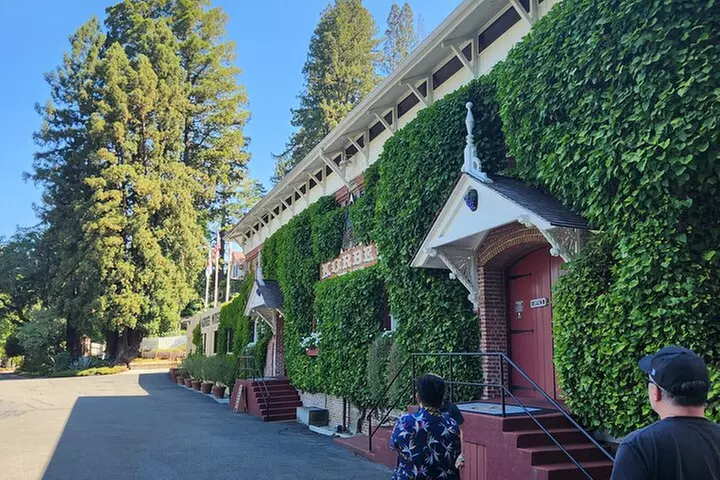 San Francisco: Guided Tour of Coastal Redwoods & Wine Country