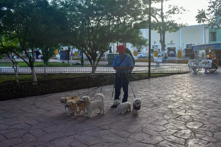 Chichen Itza Ruins, Cenote Ikkil & Hubiku, Valladolid and Buffet