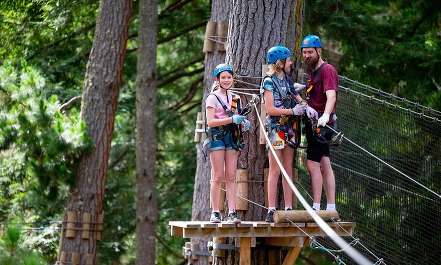Image 2: Launceston Hollybank Tree Ropes Experience