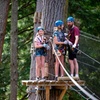 Image 2: Launceston Hollybank Tree Ropes Experience