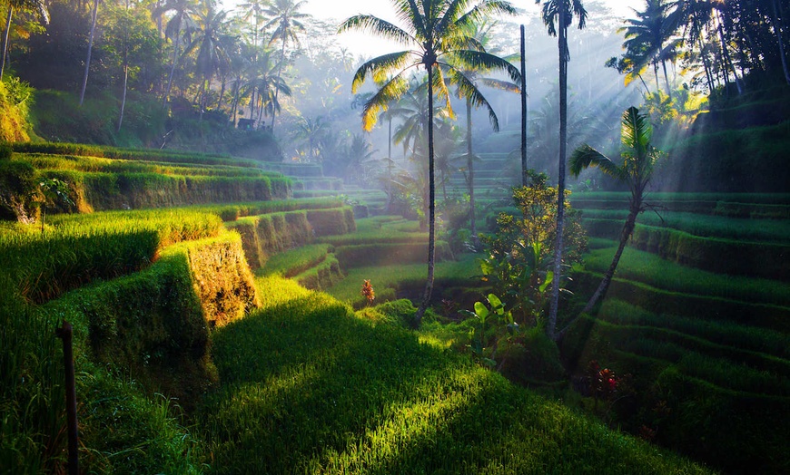 Image 19: ✈ BALI | Seminyak - De Vin Sky Hotel Seminyak 4*, 7 nights - Infini...