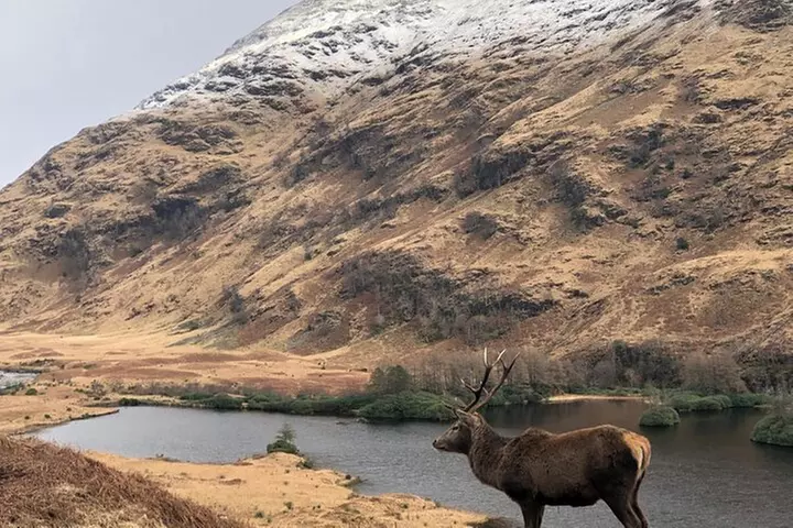 Private Guided Tours of Scotland Bespoke Adventures - Primary Image