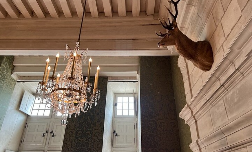 Image 18: Visite privée au départ de Paris: 3 Châteaux de Loire & dégustation...