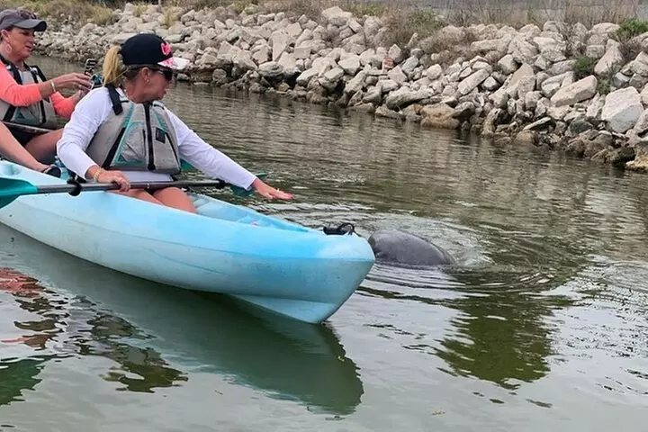 Wildlife Refuge Manatee, Dolphin & Mangrove Kayak or Paddleboarding...
