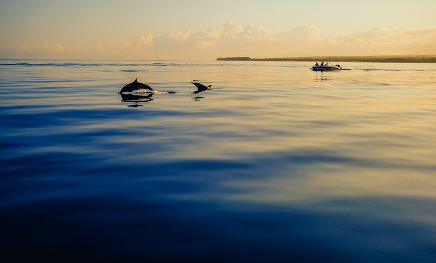 Image 4: Alquiler de Velero en Estepona para grupos de 10 personas