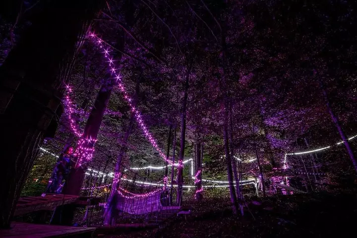 MoonTrek Nighttime Aerial Adventure - Primary Image