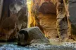 Private Narrows Hike at Zion National Park with Gear Provided - Second Medium
