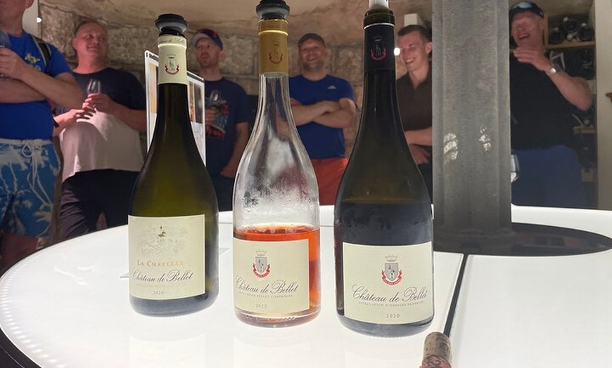 Image 2: E-bike tour à la découverte des vignobles de Bellet