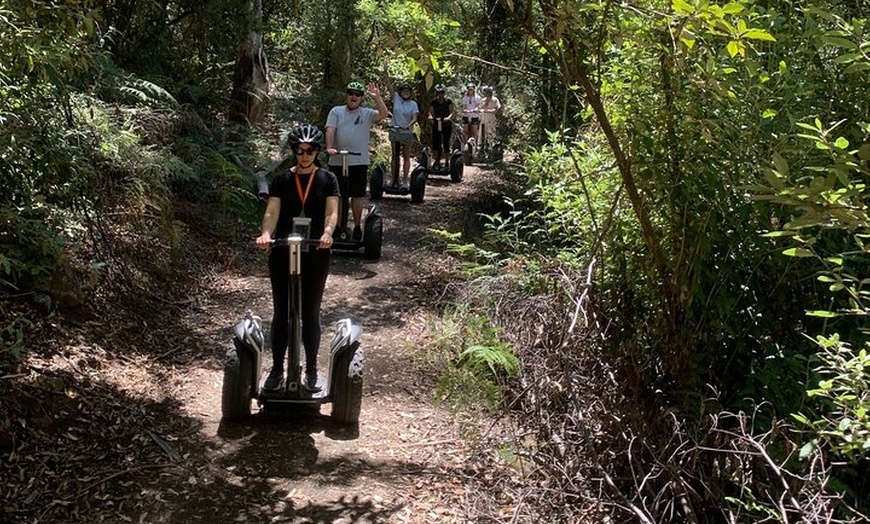 Image 6: Launceston: Hollybank Treetops Adventures - Segway Tour