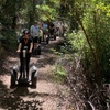 Image 6: Launceston: Hollybank Treetops Adventures - Segway Tour