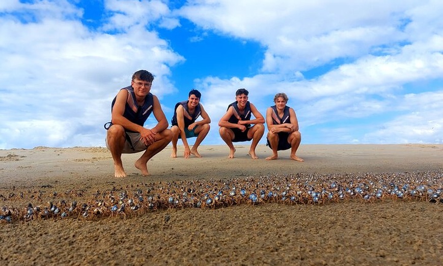 Image 8: Gold Coast Kayaking & Snorkelling Tour (2.5 Hours)