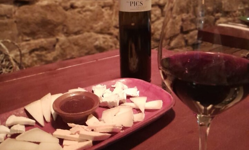 Image 1: Barcelona : Tour Wine & Walk en "el Gótico"