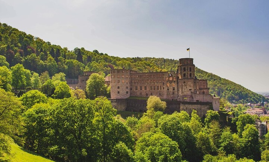 Image 8: Private Ganztagestour Heidelberg und Rothenburg ab Frankfurt