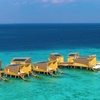 Image 14: ✈ MALEDIVEN | Kuda Vattaru - Centara Mirage Lagoon Maldives 5*, 5 N...