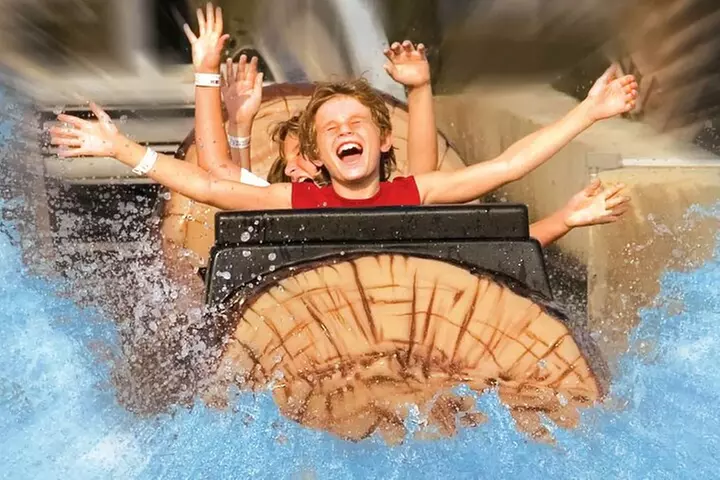 Amusement Park Unlimited ride wristband - Image 2