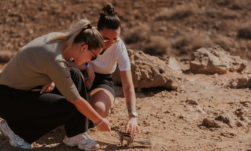Image 6: Fuerteventura Norte - Excursión de 4 horas con salida desde Corralejo