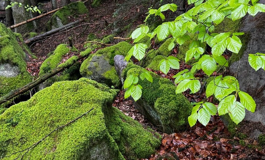 Image 9: Naturerlebnis Grüne Hölle mit köstlichem Überraschungsfinale