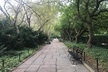 Secret Places of Central Park - Second Medium