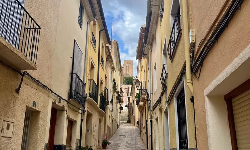 Image 4: Tu Tour Privado en Van Por La Costa Blanca