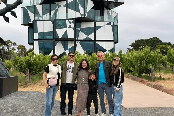 McLaren Vale and Glenelg Wine Tasting and Sightseeing (Half-day Aft...