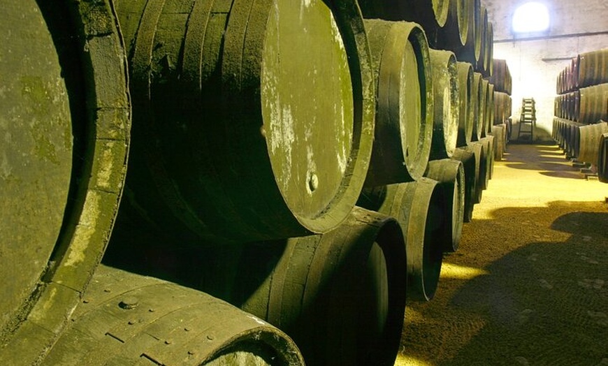 Image 5: Visita a Bodega en Chiclana de la Frontera: Cata de Vinos y Tapas