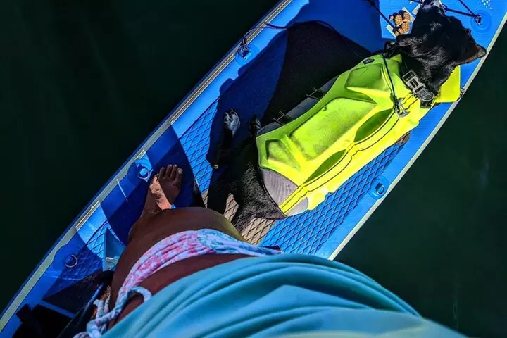Paddle Board Picnics Lessons Rentals and Outdoor Adventures