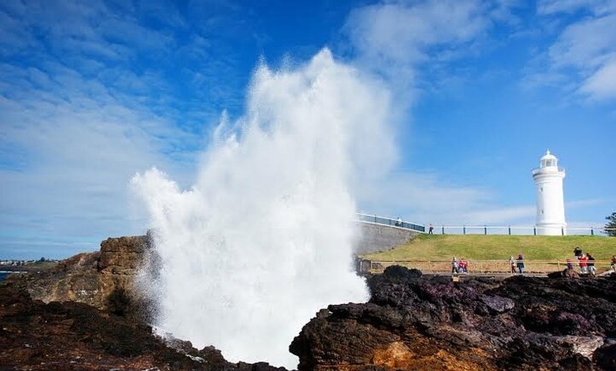 Image 3: Jervis Bay Full Day Tour Dolphin Cruise and Kiama Blowhole