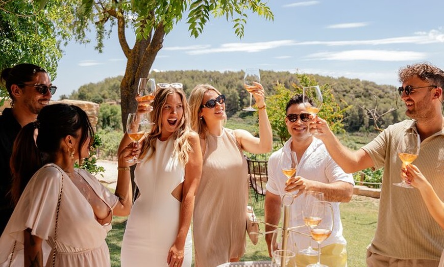 Image 5: Degustación Privada de Vinos y Cava Premium de Barcelona con Tapas