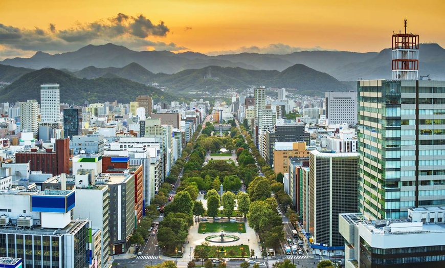 Image 2: ✈ JAPON | De Sapporo à Tokyo - A la découverte de Hokkaido 3* - Cir...