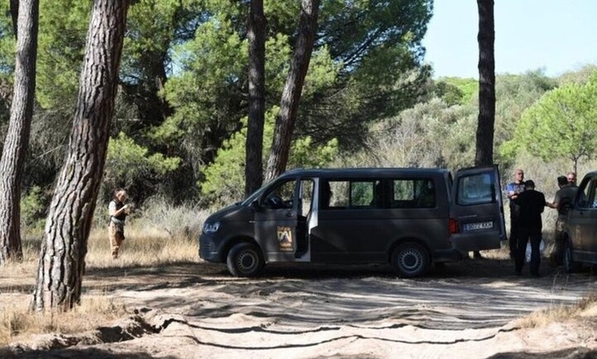 Image 8: Experiencia Guiada en Doñana en 5 Sentidos