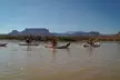 Moab Half Day Kayaking Trip - Colorado River - Image 2