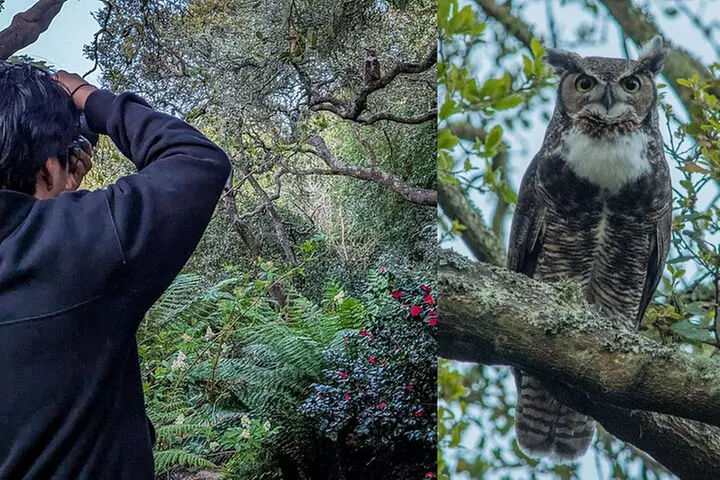 Golden Gate Park Twilight Wildlife Walking Tour - Primary Image