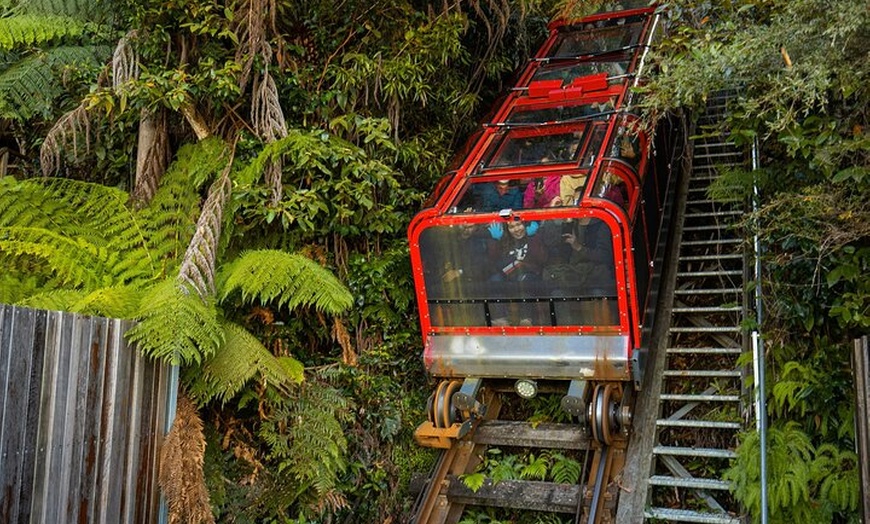 Image 32: PRIVATE Blue Mountains Scenic World Australian Wildlife & Cruise