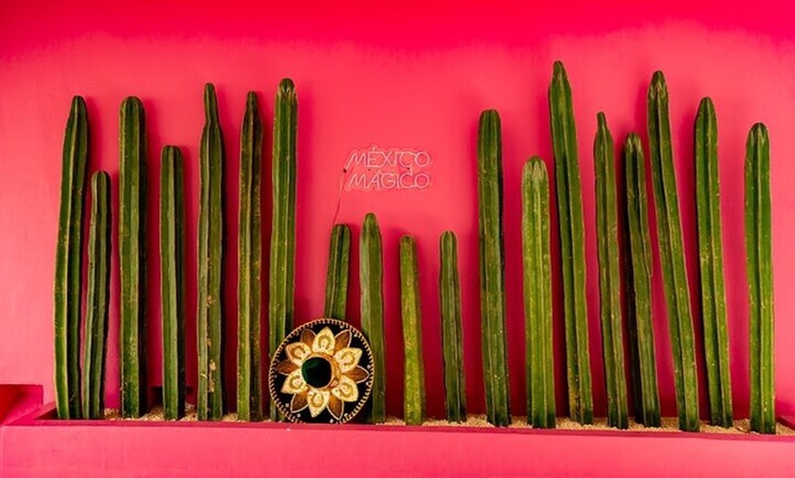Image 33: Cancun Sightseeing El Meco Site, Letters and Shopping
