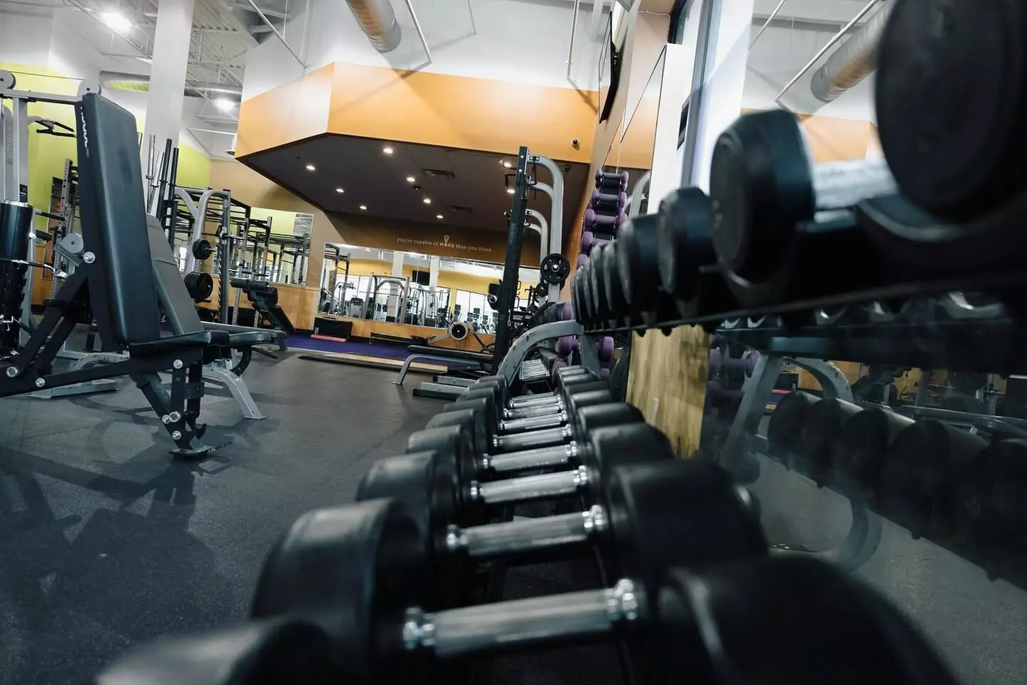 $32.50 For 1 Month Membership - Includes Joining Fee (Reg. $65)