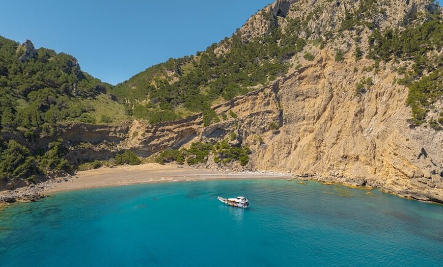 Image 17: Dolphin Adventure : Avistamiento de Delfines en Barco Rápido en Mal...
