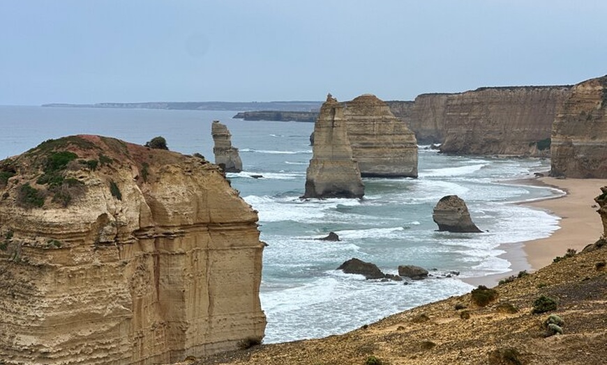 Image 3: Great Ocean Road 12 apostles PRIVATE Luxury Tour 5 PAX all incl.