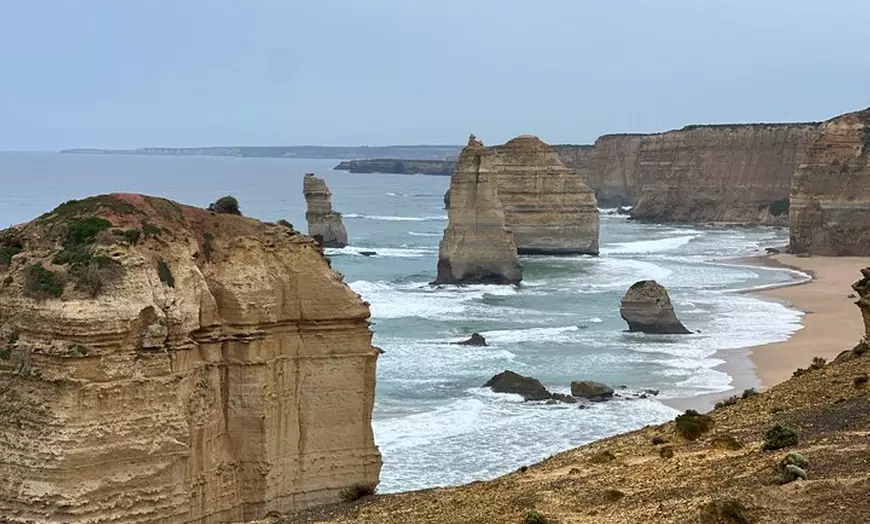 Image 3: Great Ocean Road 12 apostles PRIVATE Luxury Tour Reverse all incl