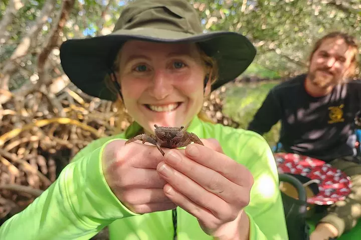 Kayak through Mangrove Forests in the Florida Keys