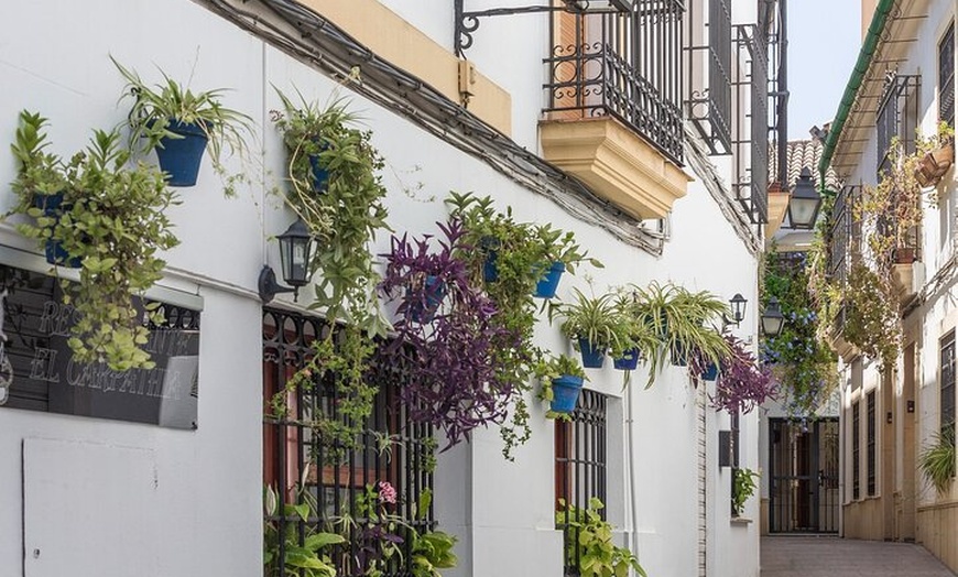 Image 3: Lo mejor de Andalucía : Sevilla & Granada desde Madrid – 3 Noches