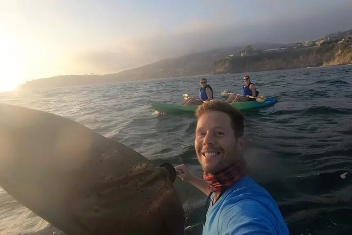 Laguna Beach Open Ocean Kayaking Tour with Sea Lion Sightings
