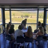 Image 23: Hunter Valley Wine tasting Private Tour From Sydney