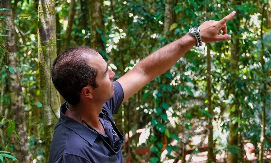 Image 11: Private Luxury Daintree Dream Tour All Inclusive