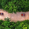 Image 12: ATV Adventure, Interactive Bridges, Ziplines, Cenote and Lunch