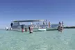 Crab Island Adventure - Second Medium