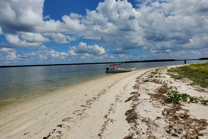 10,000 Islands Boat Tour + Naturalist Led Walk in the Everglades!