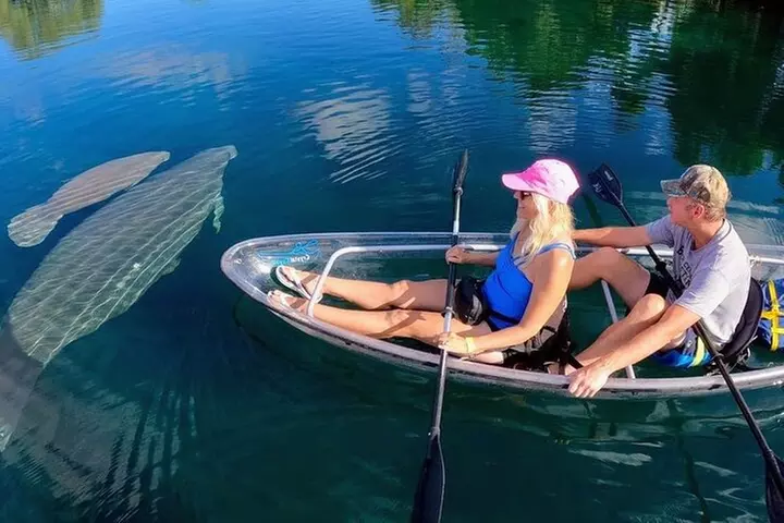 Clear Kayak Manatee Ecotour of Crystal River
