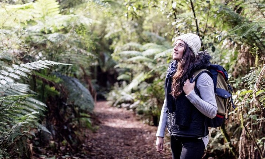 Image 3: Melbourne to Adelaide 3 Day Tour via Great Ocean Road & Grampians